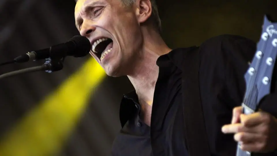 На пути к успеху: "Scream for Love" штурмует чарты