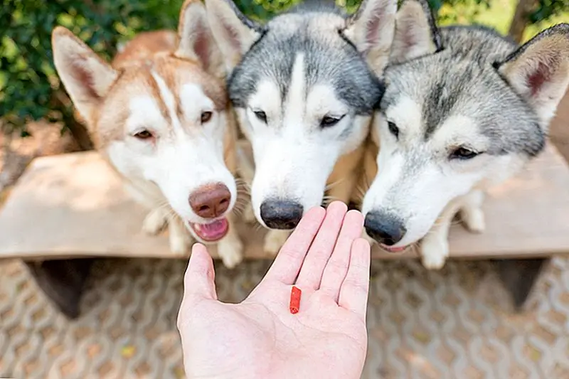 Нет степени? Без проблем. Один из этих 9 Work-From-Home Jobs может быть для вас