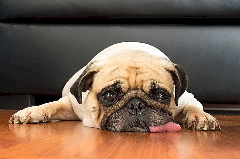 Баммед о ваших финансах? Это может быть связано с вашими политическими взглядами