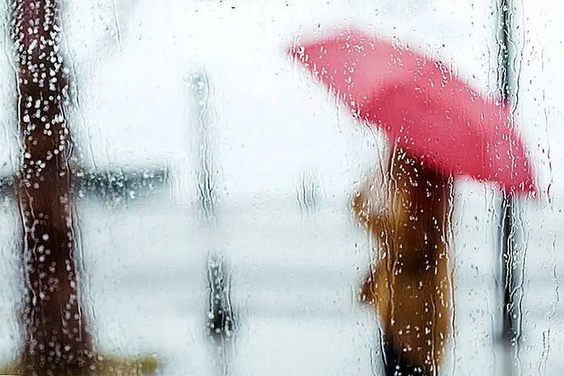 Кража личных данных разрушила мой кредитный рейтинг. Вот как я получил его выше 700