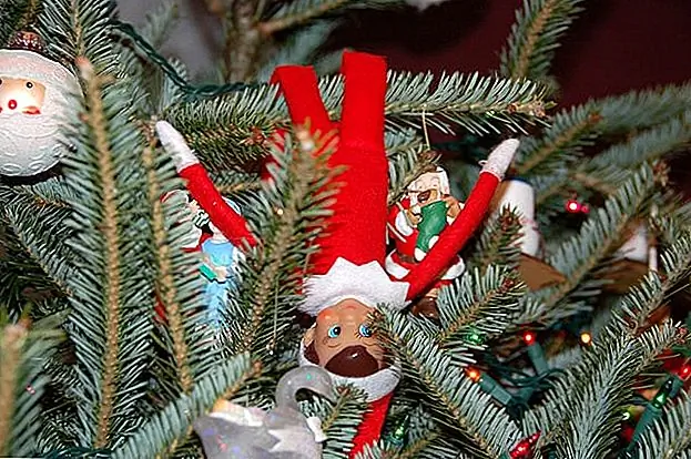 Эльф-настоящая жизнь на полке: этот человек может случайно начать самую яркую праздничную суету