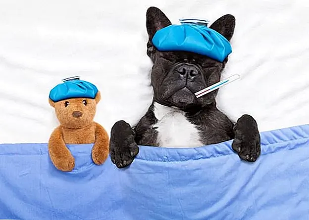 Мигрень - наихудшая. Но эта компания будет платить вам за то, что вы их