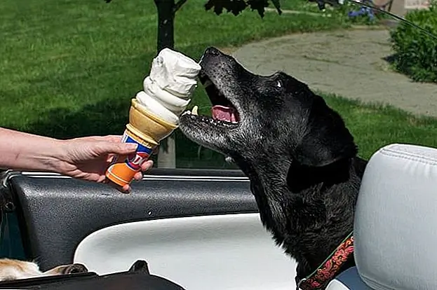 Хотите бесплатное мороженое? Вот, когда молочная королева дает это