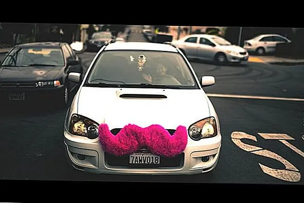 Хотите получить оплату за свой автомобиль? Бросьте усы на фронт