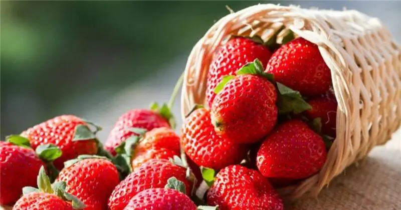 Это продукты, которые «замедляют» старение легких