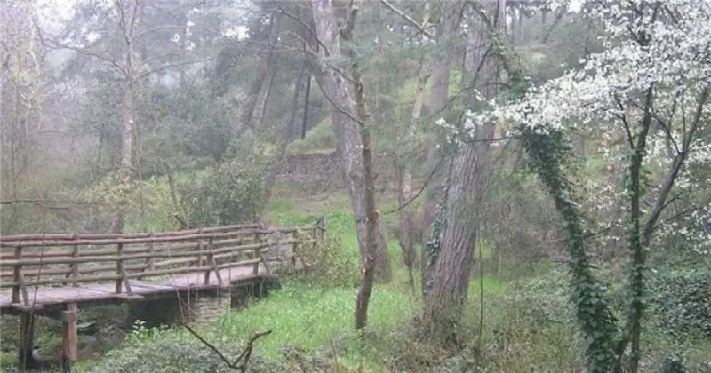 История шейха Су в Салониках