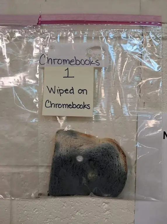 Учителя вытерли Chromebook класса о хлеб, чтобы показать ученикам важность регулярной дезинфекции своих ноутбуков