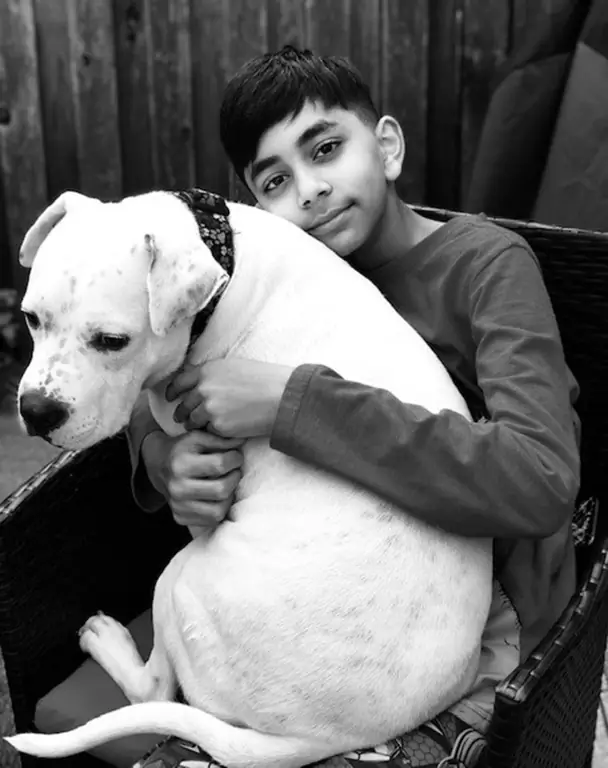 «Ребенок года» по версии ASPCA Эван Биснаут прижимается к собаке «Ребенок года» по версии ASPCA Эван Биснаут прижимается к собаке