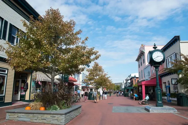 Семейный отдых изобилует в торговом центре Washington Street Mall, где вы найдете множество мест, где можно сделать покупки и пообедать