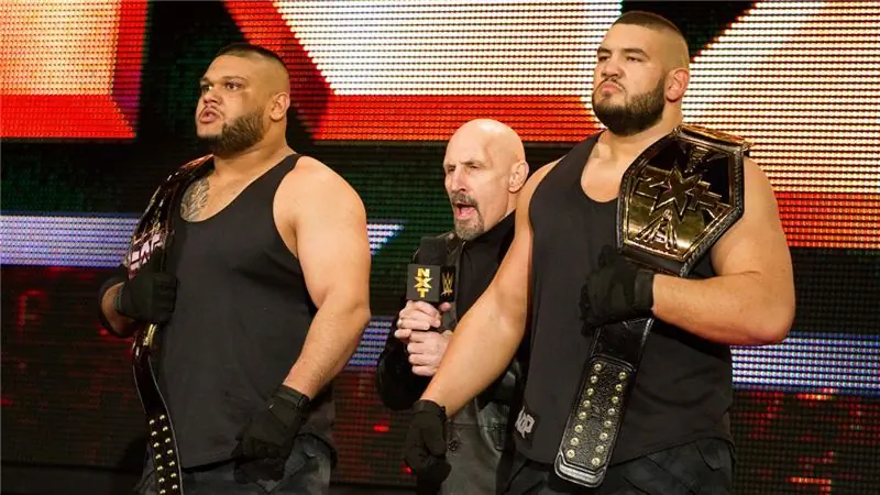 Авторы боли WWE