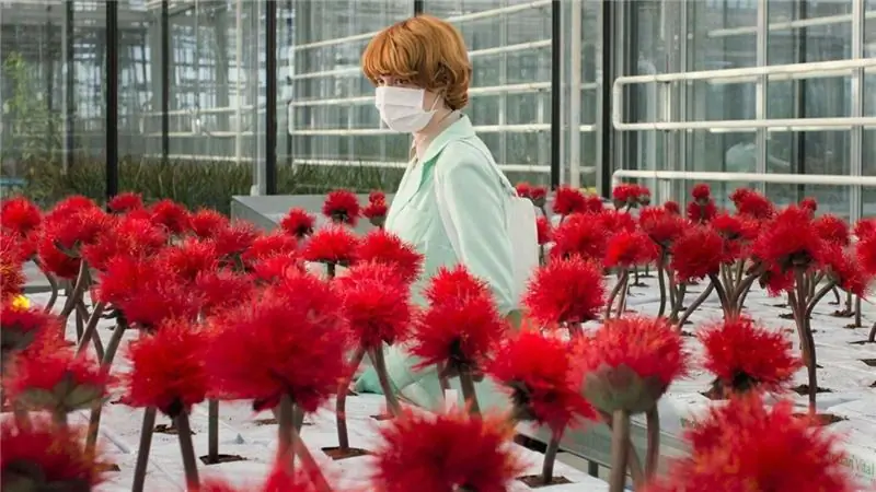 Little Joe REVIEW - Борьба за расцвет