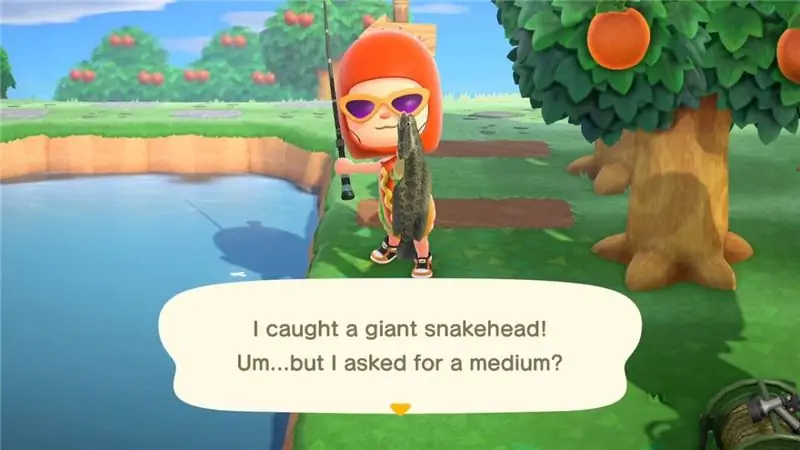 Animal Crossing: New Horizons: как поймать гигантского змееголова