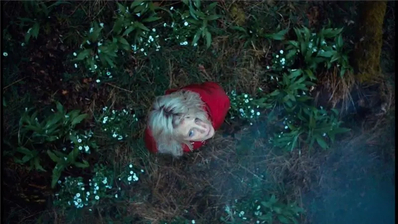 Hunted REVIEW - Свирепый кот & Погоня за мышью