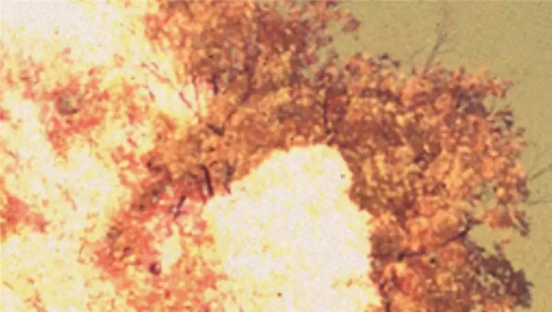 Смерть персонажа Дэвида Оула & Абсурдность смертности