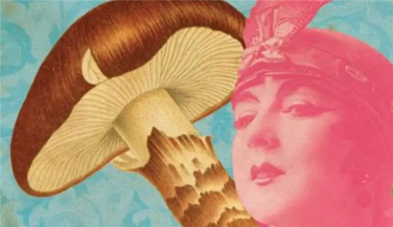 Цвет и боль в The Sharp End of the Rainbow