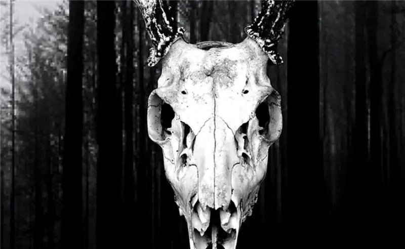 Заговор Носферату: Сомелье - исторический ужас, сделанный правильно