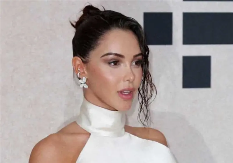 Набилла беременна: ей пришлось в спешке покинуть гала-концерт amfAR