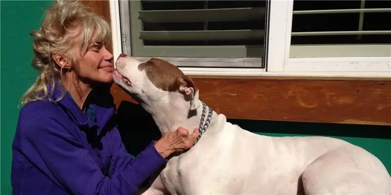 Состояние Бри Уокер: Вики, Замужем, Семья, Свадьба, Заработная плата, Братья и сестры