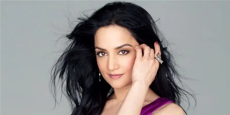 Состояние Арчи Панджаби: Вики, В браке, Семья, Свадьба, Заработная плата, Братья и сестры