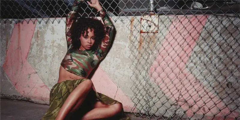 Лиза Левый глаз Лопес Состояние: Вики, В браке, Семья, Свадьба, Заработная плата, Братья и сестры