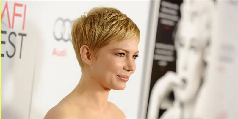 Состояние Мишель Уильямс: Вики, В браке, Семья, Свадьба, Заработная плата, Братья и сестры