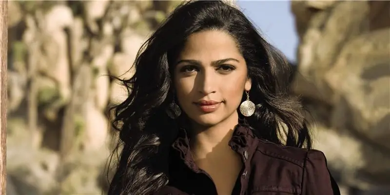 Камила Алвес Собственный капитал: Вики, В браке, Семья, Свадьба, Заработная плата, Братья и сестры