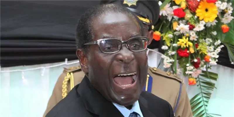 Состояние Роберта Мугабе: Вики, женат, семья, свадьба, зарплата, братья и сестры