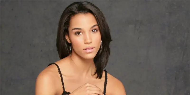 Донна Саммер Чистая стоимость: Вики, Замужем, Семья, Свадьба, Заработная плата, Братья и сестры