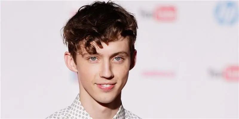 Трой Сиван Собственный капитал: Вики, женат, семья, свадьба, зарплата, братья и сестры