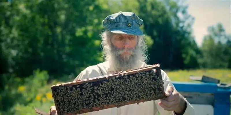 Берт Шавиц Собственный капитал: Вики, женат, семья, свадьба, зарплата, братья и сестры