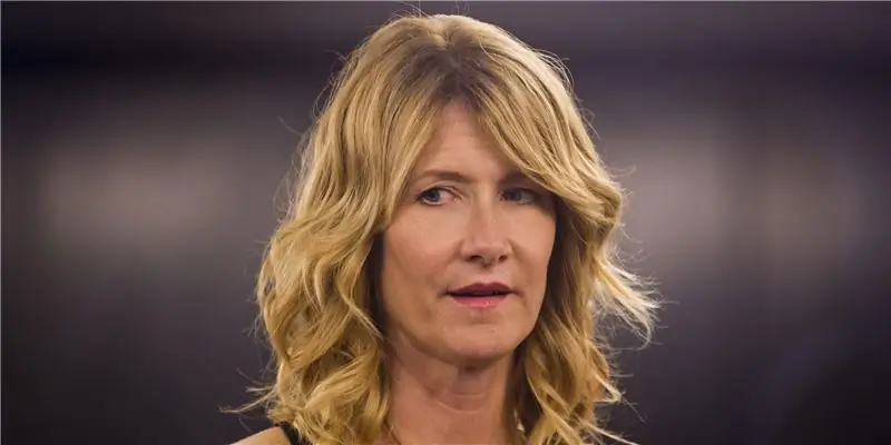 Лаура Дерн Собственный капитал: Вики, Замужем, Семья, Свадьба, Заработная плата, Братья и сестры