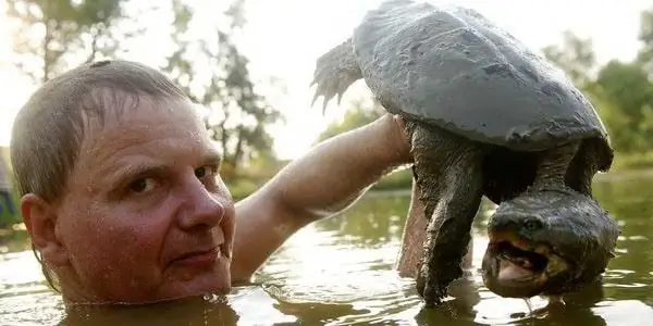 Эрни Браун-младший Собственный капитал: Вики, женат, семья, свадьба, зарплата, братья и сестры