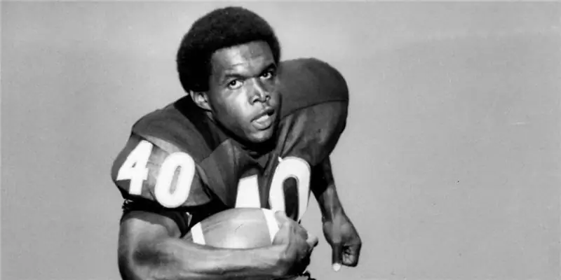 Гейл Сэйерс Собственный капитал: Вики, В браке, Семья, Свадьба, Заработная плата, Братья и сестры