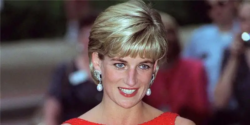 Чистая стоимость принцессы Дианы: Вики, Замужем, Семья, Свадьба, Заработная плата, Братья и сестры