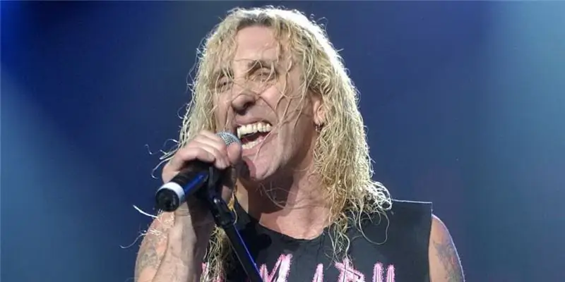 Ди Снайдер Собственный капитал: Вики, В браке, Семья, Свадьба, Заработная плата, Братья и сестры