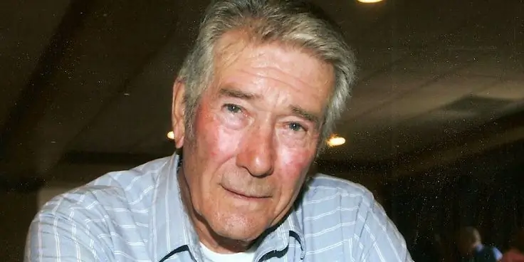 Состояние Роберта Фуллера: Вики, Женат, Семья, Свадьба, Заработная плата, Братья и сестры