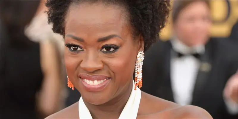 Виола Дэвис Собственный капитал: Вики, Женат, Семья, Свадьба, Заработная плата, Братья и сестры