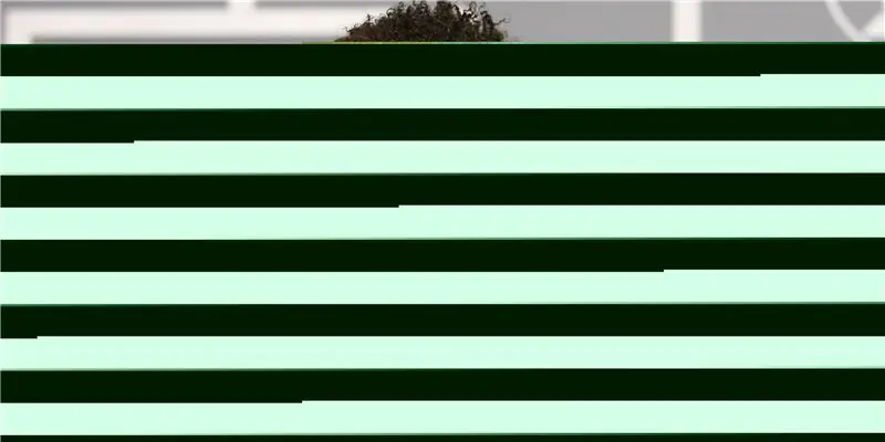 Гэри Дурдан Собственный капитал: Вики, женат, семья, свадьба, зарплата, братья и сестры