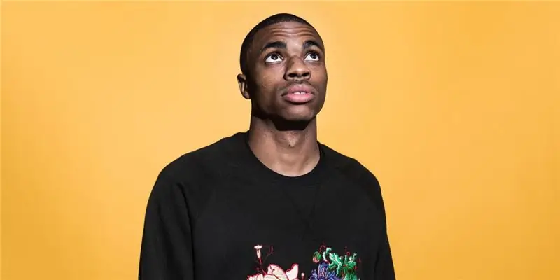 Какова чистая стоимость Винса Стейплса? Конверс, Мерч, Тур, Теория большой рыбы