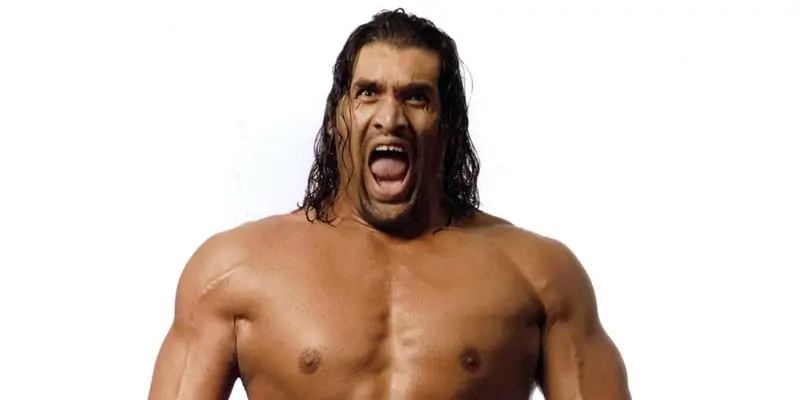 Собственный капитал Великого Хали: Вики, В браке, Семья, Свадьба, Заработная плата, Братья и сестры