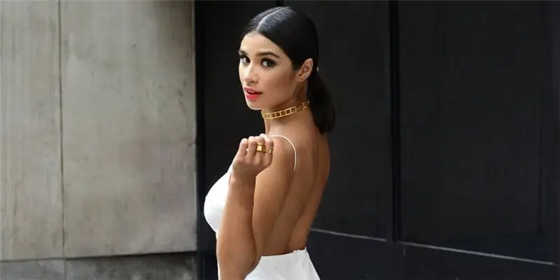 Дайан Герреро Собственный капитал: Вики, В браке, Семья, Свадьба, Заработная плата, Братья и сестры