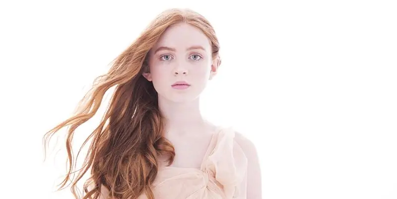 Состояние Сэди Синк: Вики, В браке, Семья, Свадьба, Заработная плата, Братья и сестры