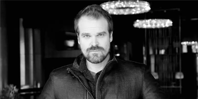 Состояние Дэвида Харбора: Вики, Женат, Семья, Свадьба, Заработная плата, Братья и сестры