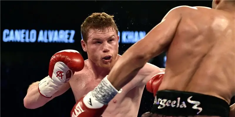 Канело Альварес Собственный капитал: Вики, В браке, Семья, Свадьба, Заработная плата, Братья и сестры