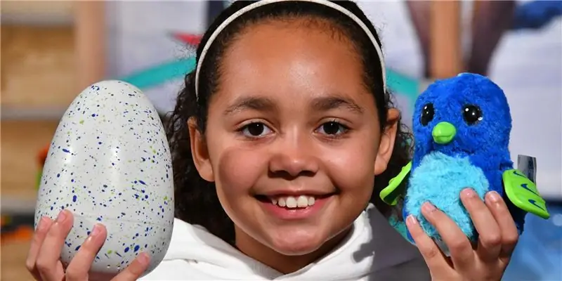 Игрушки AndMe Чистая стоимость: Вики, В браке, Семья, Свадьба, Заработная плата, Братья и сестры