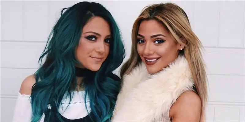 Состояние Ники и Габи: Вики, В браке, Семья, Свадьба, Заработная плата, Братья и сестры