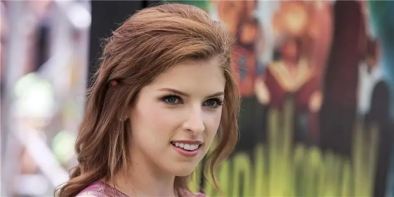 Состояние Анны Кендрик: Вики, Замужем, Семья, Свадьба, Заработная плата, Братья и сестры