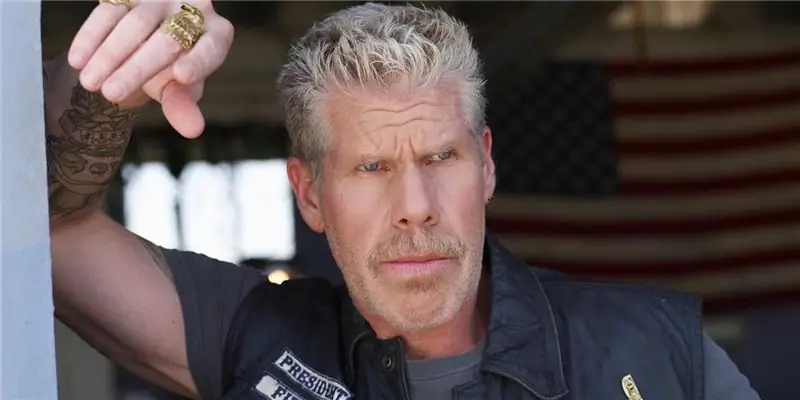 Рон Перлман Собственный капитал: Вики, женат, семья, свадьба, зарплата, братья и сестры