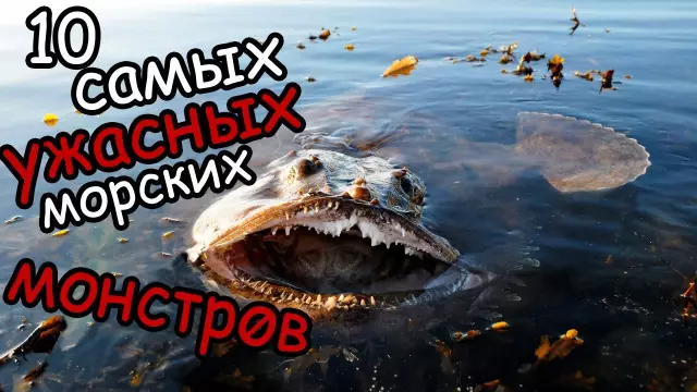 15 самых ужасных смертельных смертельных битв
