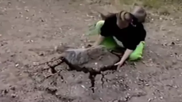 15 жутких фотографий, снятых в домах людей